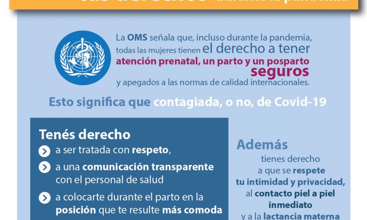 ¿Estás embarazada? Conocé tus derechos durante la pandemia